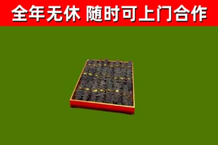 拱墅区回收海参